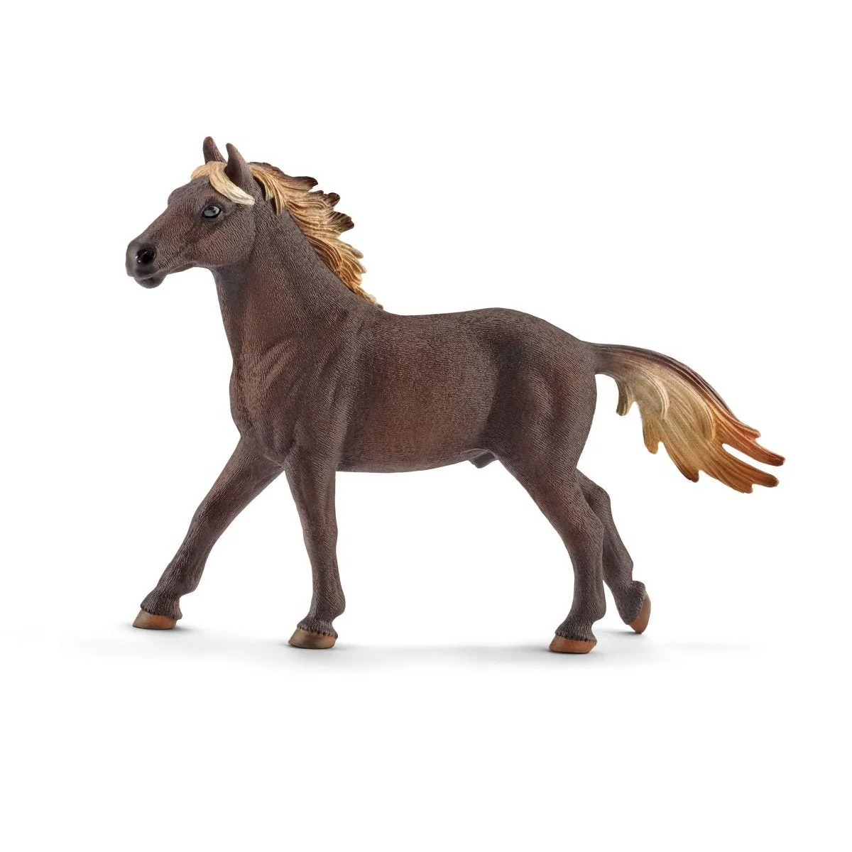 Mustang hengst