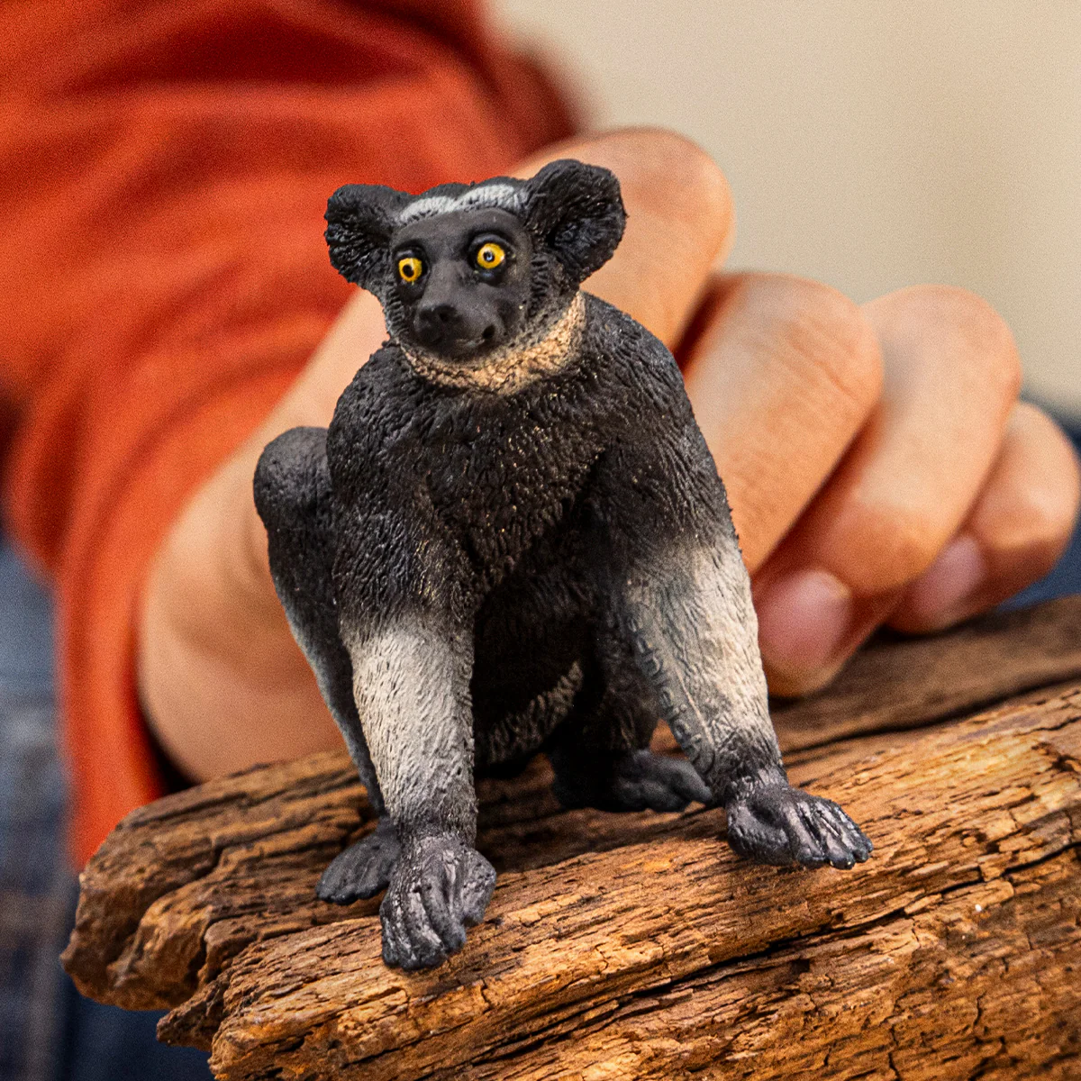 Indri - Afbeelding 3