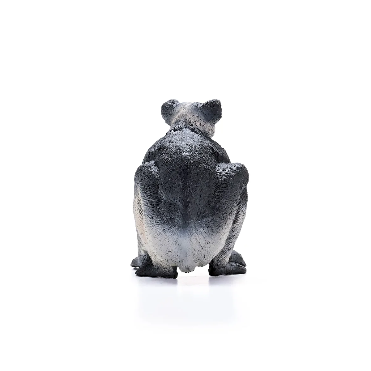 Indri - Afbeelding 4