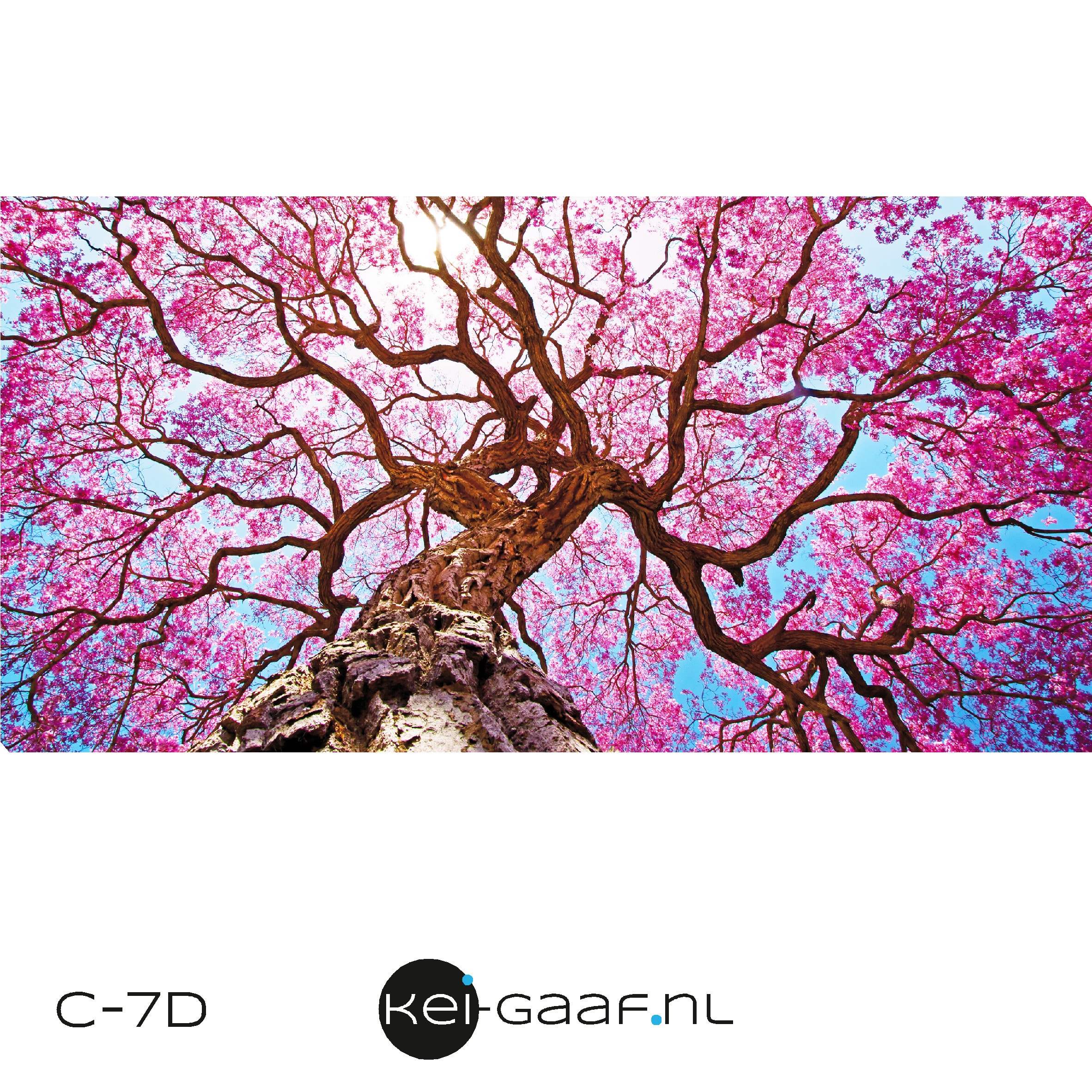 Canvas schilderij doek boom bloesem - Afbeelding 4