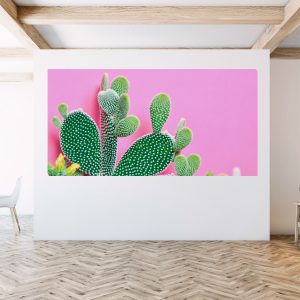 Canvas schilderij doek cactus roze plant