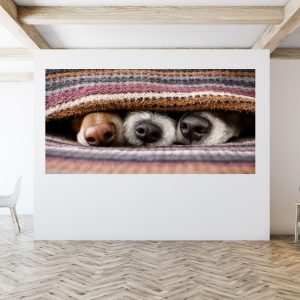 Canvasdoek hond neuzen deken 20D