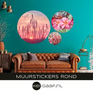 Muursticker rond pink MS-R22